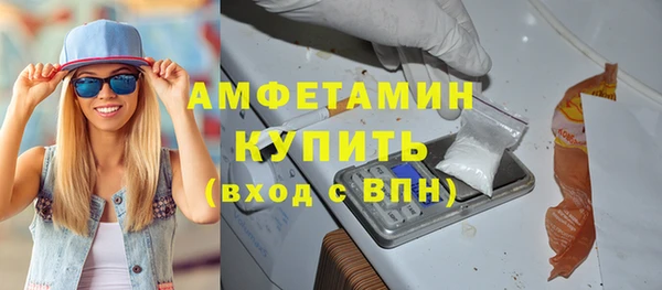 гидра Богородицк