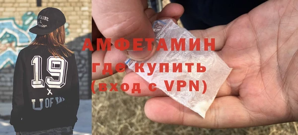 мдпв Бородино