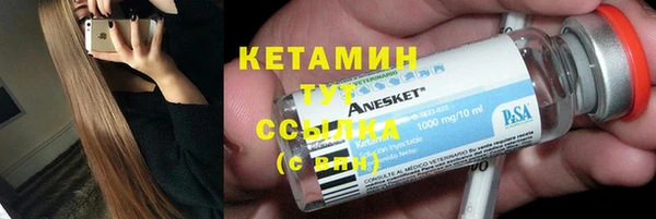 гидра Богородицк