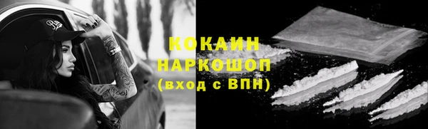 мдпв Бородино