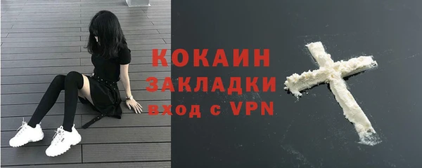 мдпв Бородино