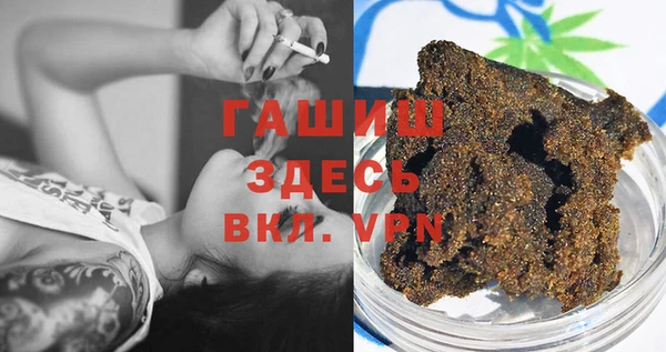 мдпв Бородино