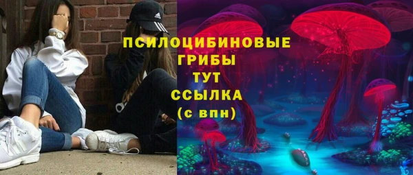 гидра Богородицк