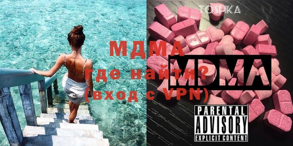 гидра Богородицк