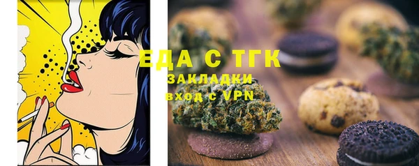 гидра Богородицк