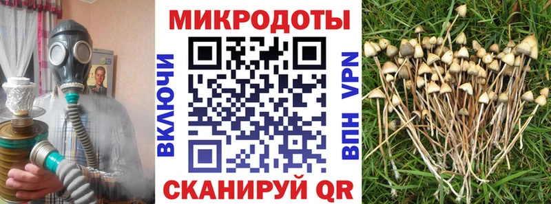 darknet телеграм  наркотики  Нижний Новгород  Галлюциногенные грибы прущие грибы  OMG зеркало 